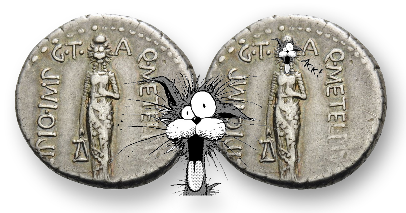 BillTheCatCoin-Edited_edited-1.jpg