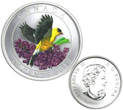 bird 2010 goldfinch.jpg
