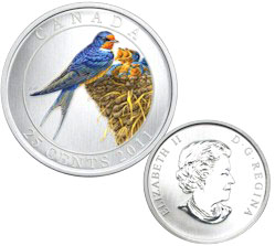 bird 2011 barn.jpg