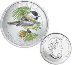bird 2011 black.jpg