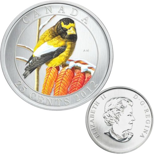 bird 2012 evening.jpg