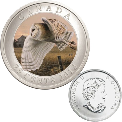 bird 2013 owl.jpg