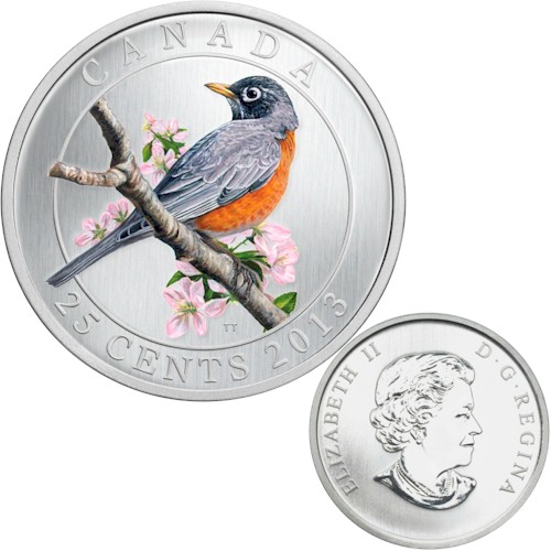 bird 2013 robin.jpg