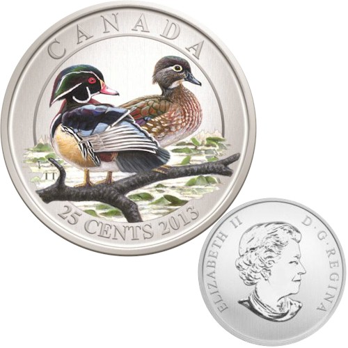bird 2013 wood duck.jpg