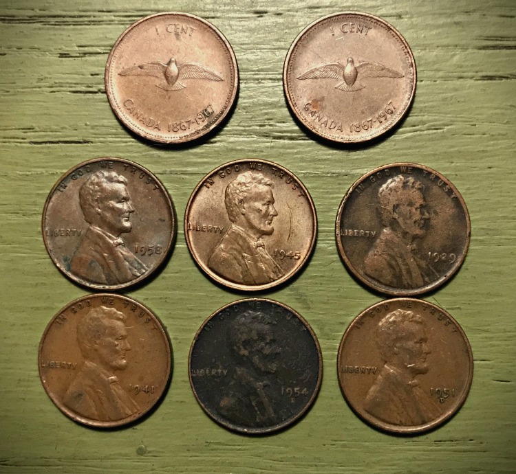 Bird Cents & Wheats.jpg