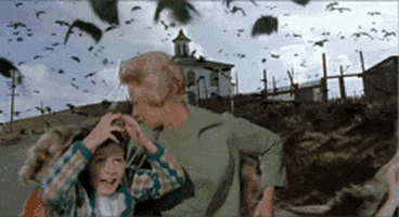 birds.gif
