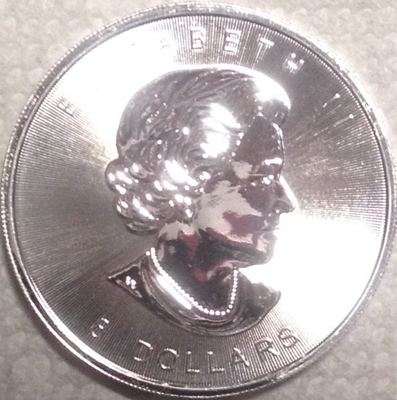 bison obverse.JPG