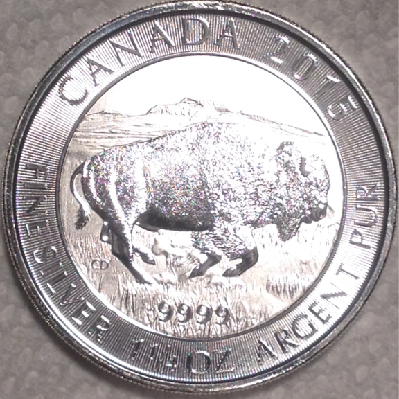 bison reverse.JPG