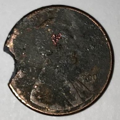 Bit Coin.jpg