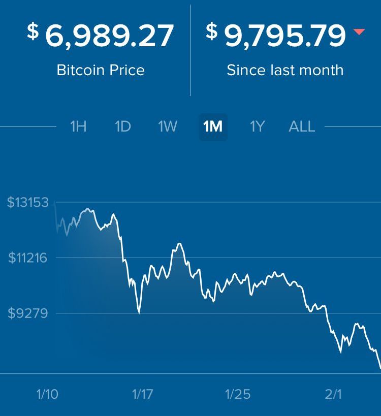 BitCoin_1MthFall.jpg