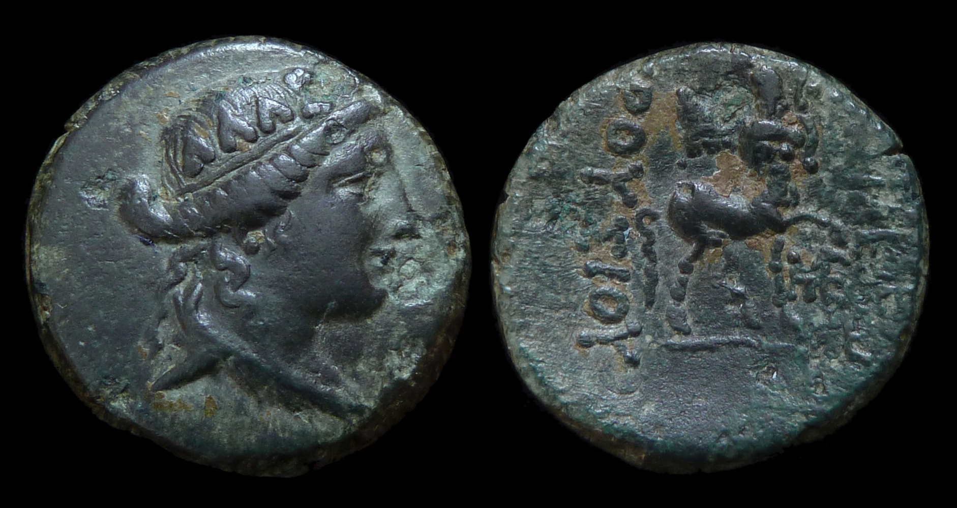 BITHYNIA Prusias II - Chiron ex M Laffaille 4043.JPG