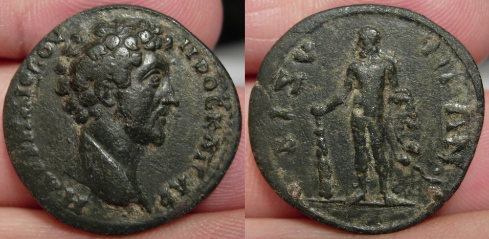 BizyaMarcus.jpg