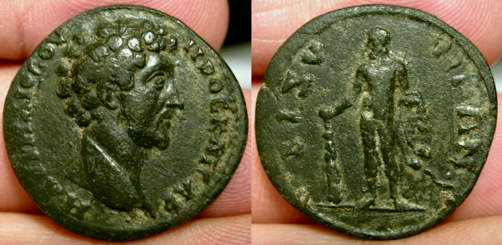 BizyaMarcus.jpg