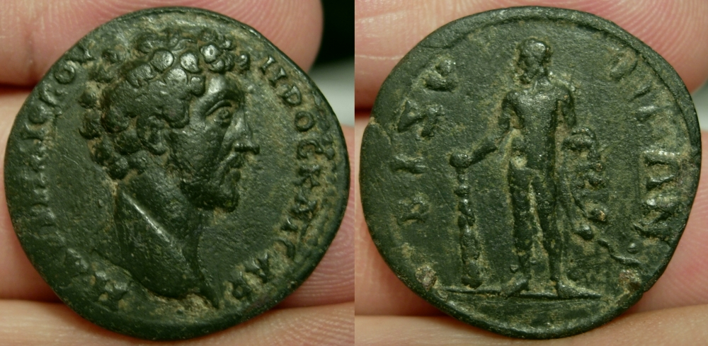 BizyaMarcus.jpg