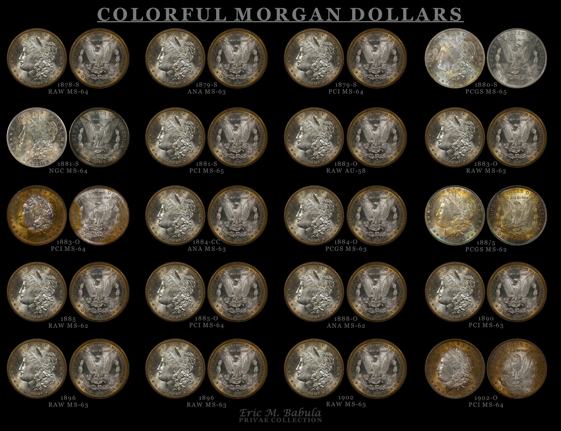 Black - Colorful Morgans 6500X5000 - 50.jpg