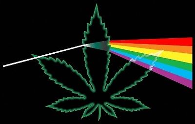 black light posters 4.jpg
