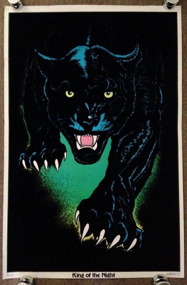 black light posters too.jpg