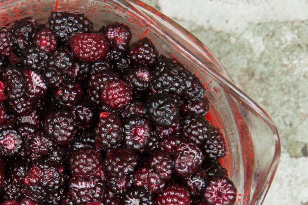 black raspberrys.jpg