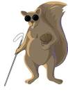 blind squirrel too.jpg