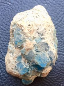 Bluest O.JPG