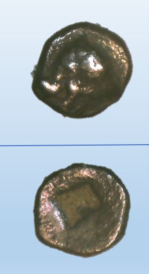 Boar-Lesbos-0_24g.JPG