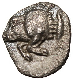 boar & lion a.jpg
