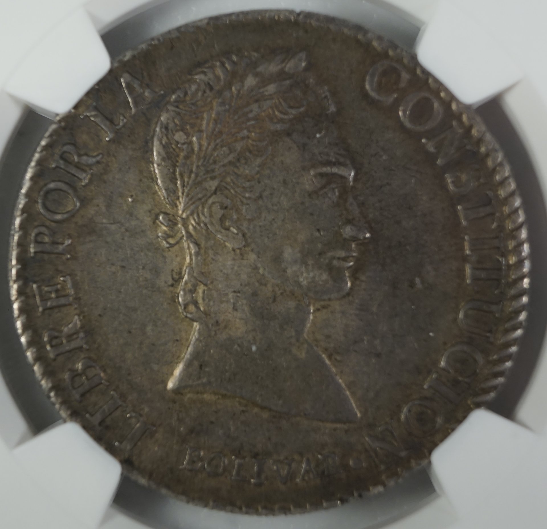 Bol184506.JPG