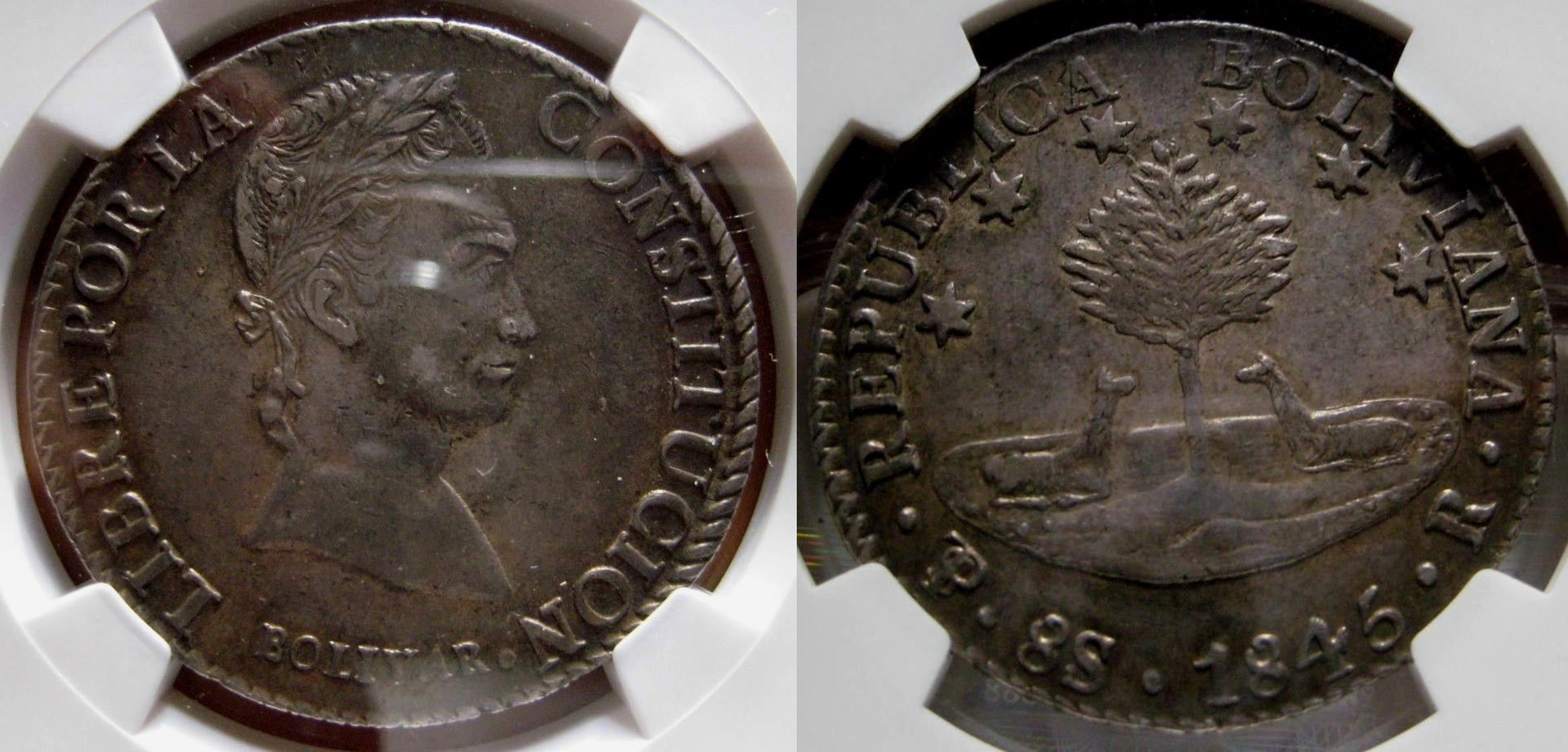 Bol184507.jpg
