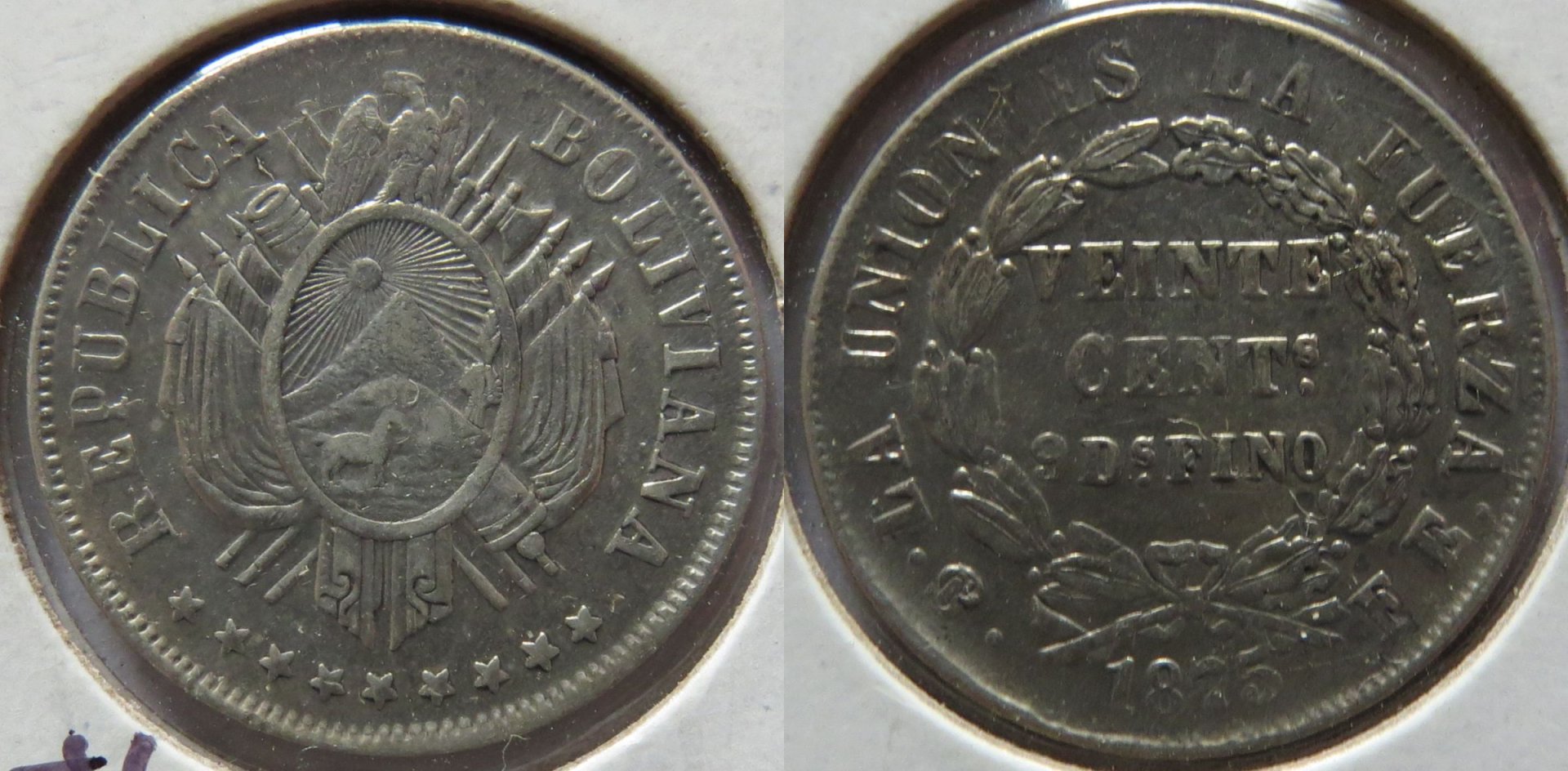 Bolivia 1875 20 Centavos copy.jpg