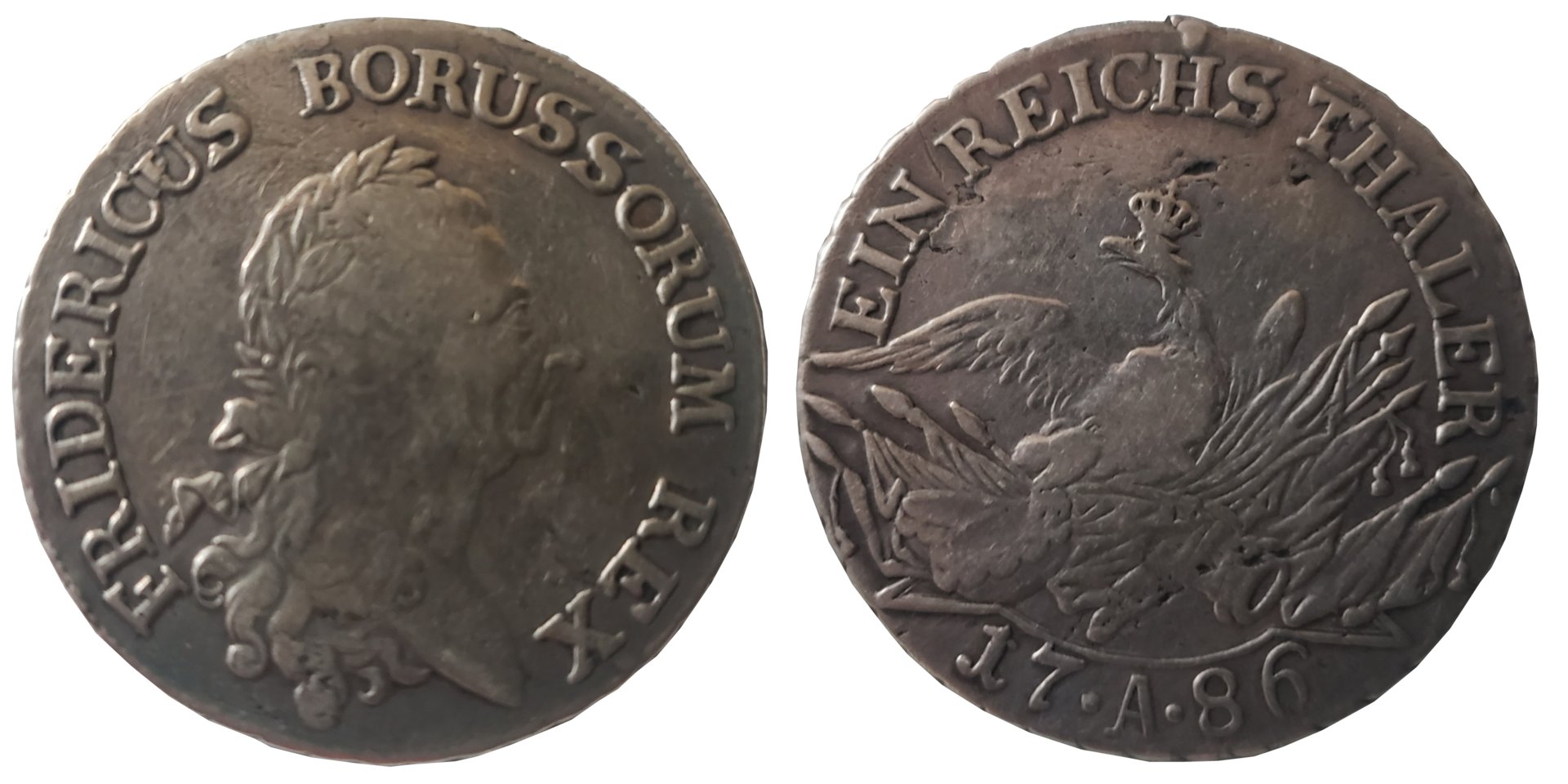 borussorum rex.png