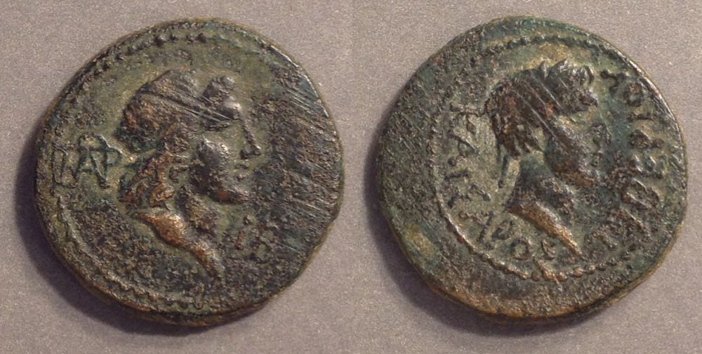 BosporusMacD300Aspurgus02118.jpg