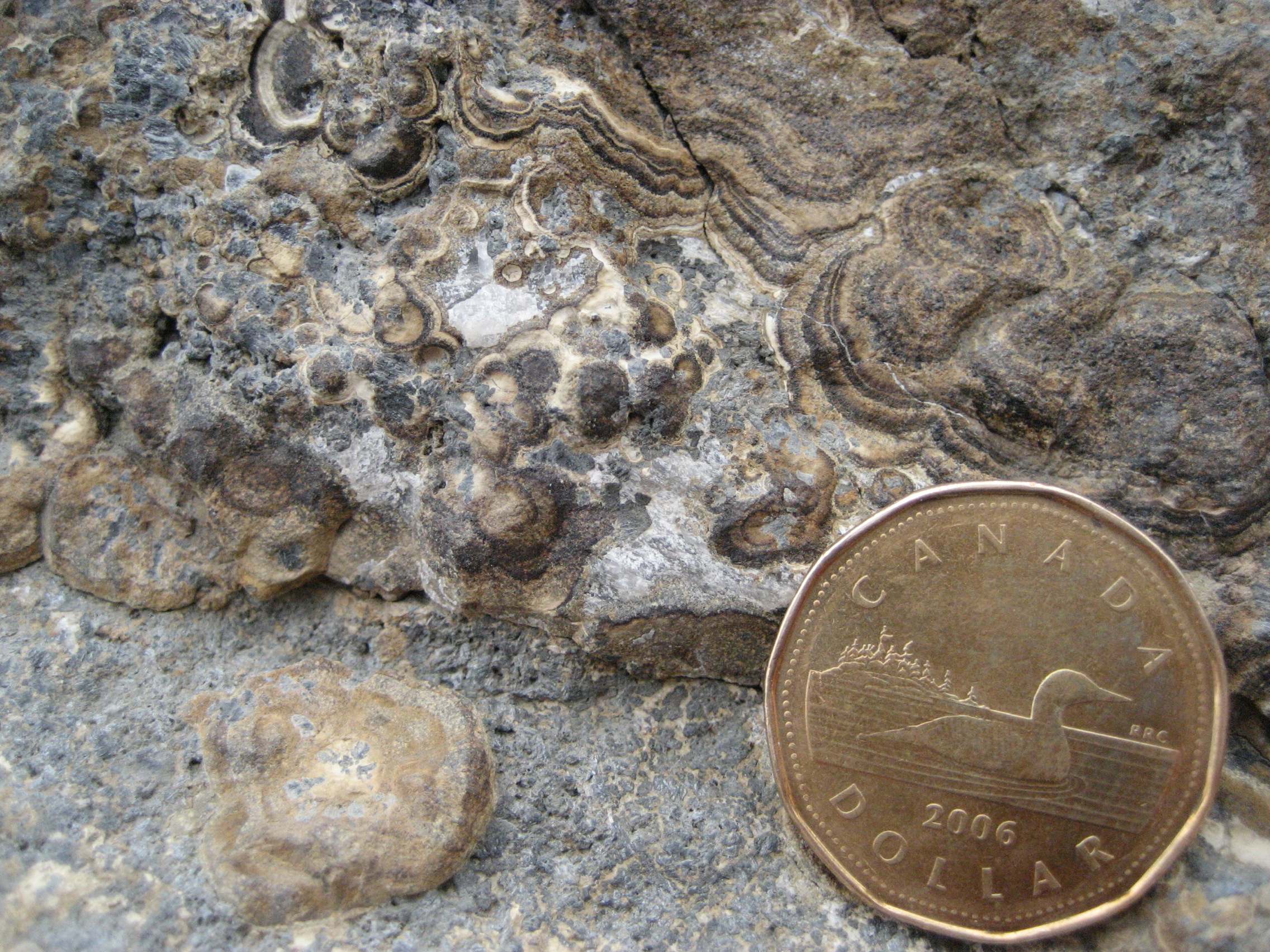 botryoidal_sphalerite.jpg