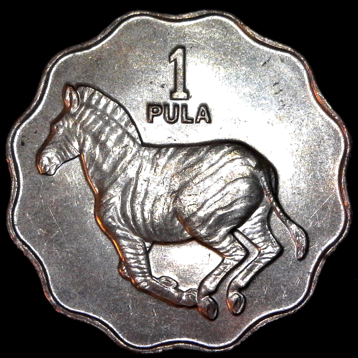 Botswana 1 Pula 1976 obv.jpg