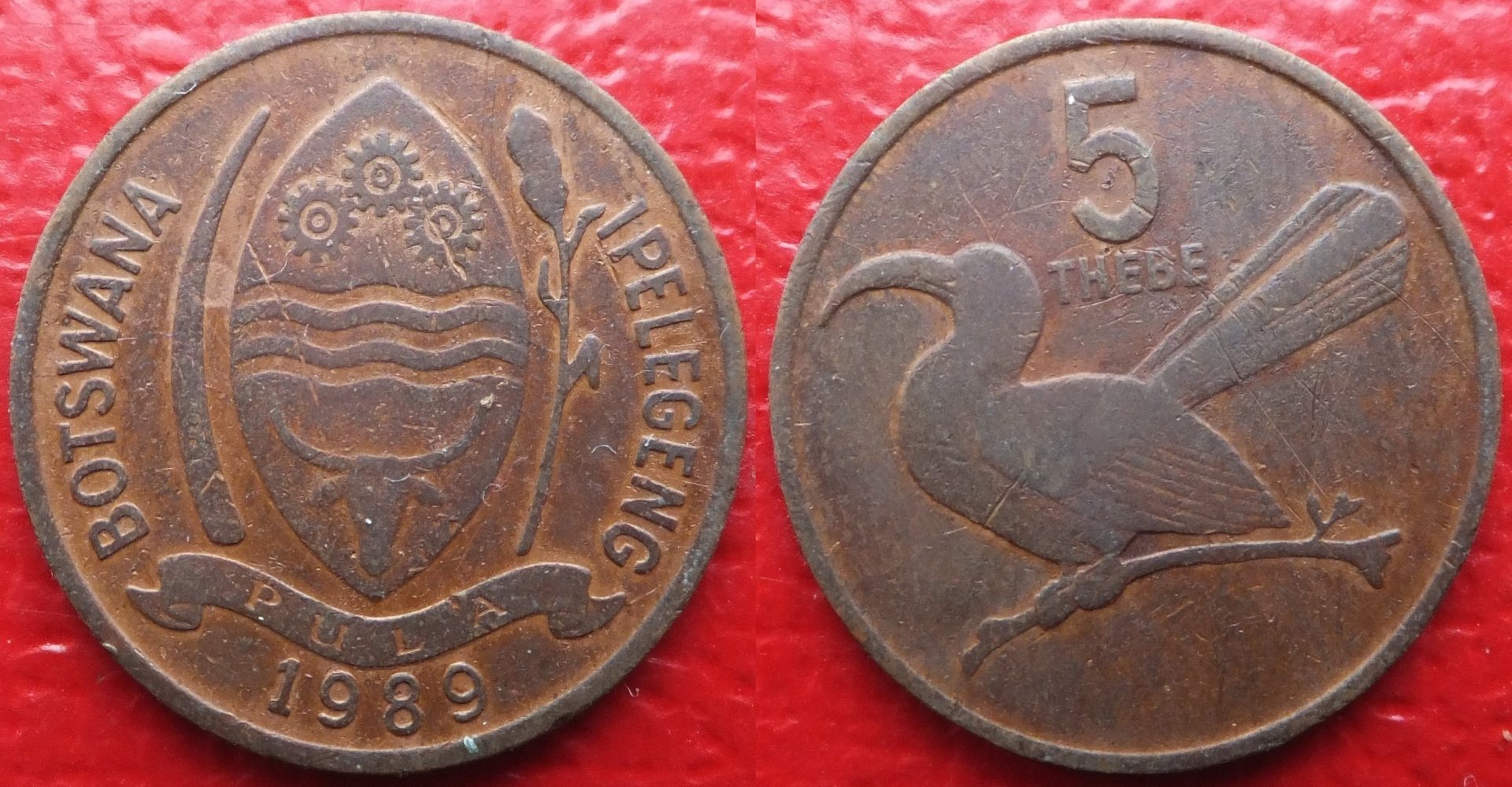 Botswana 5 thebe 1989 (3).jpg