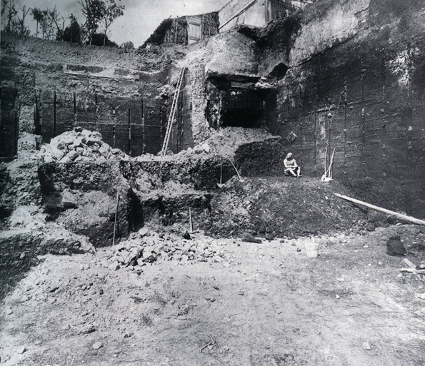 Boxer 4 - 1885.jpg