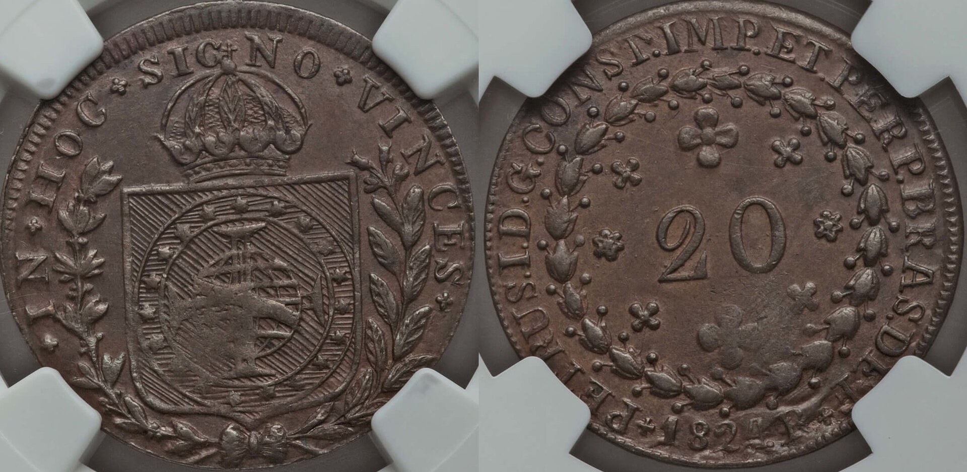 Bra182405.jpg