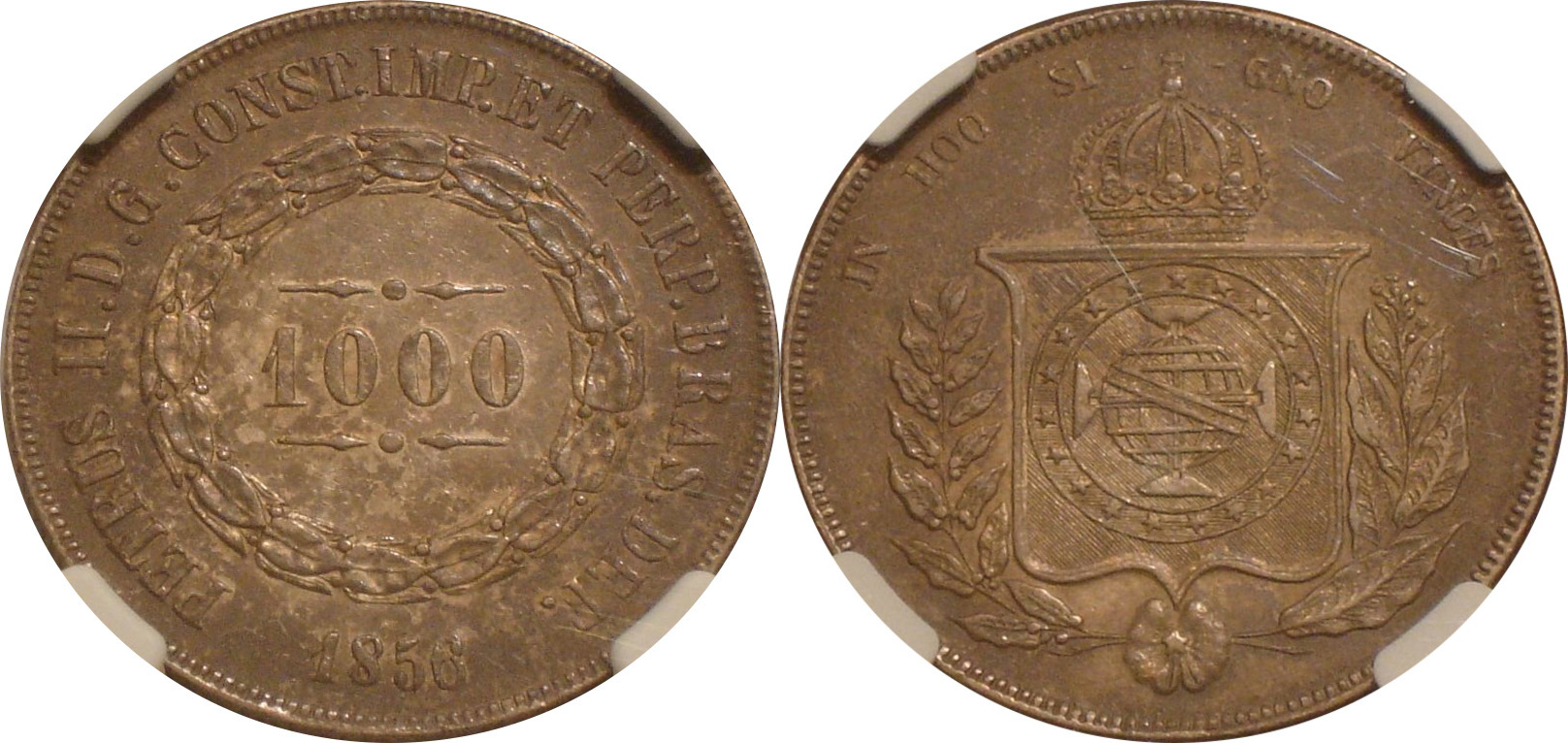 Bra185605.jpg