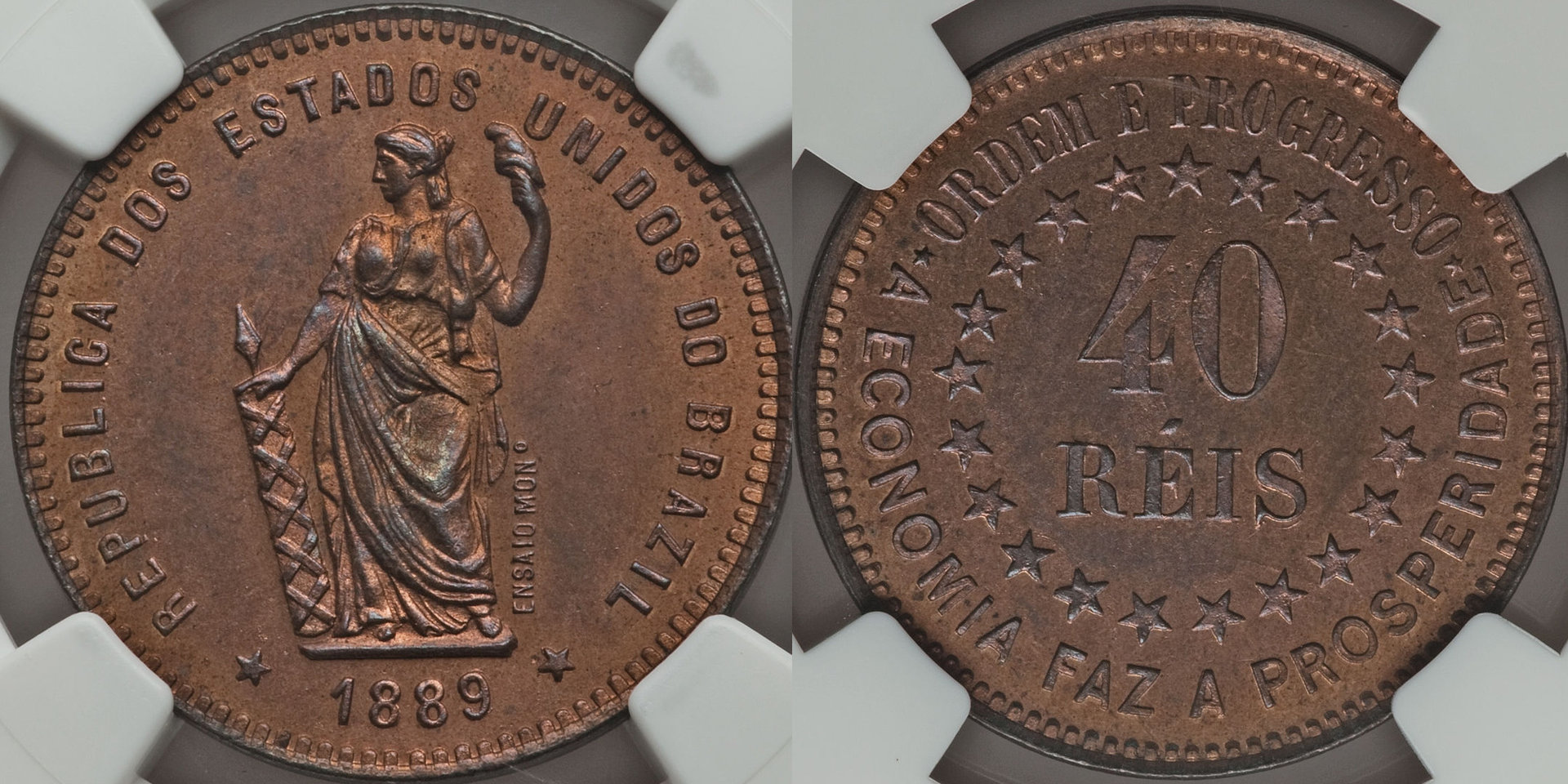 Bra188905.jpg