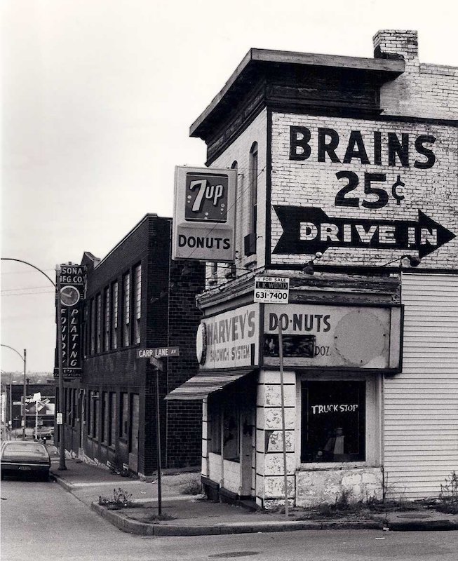 Brains.jpeg