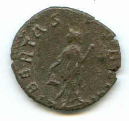 BRcoll1991n15r.jpg