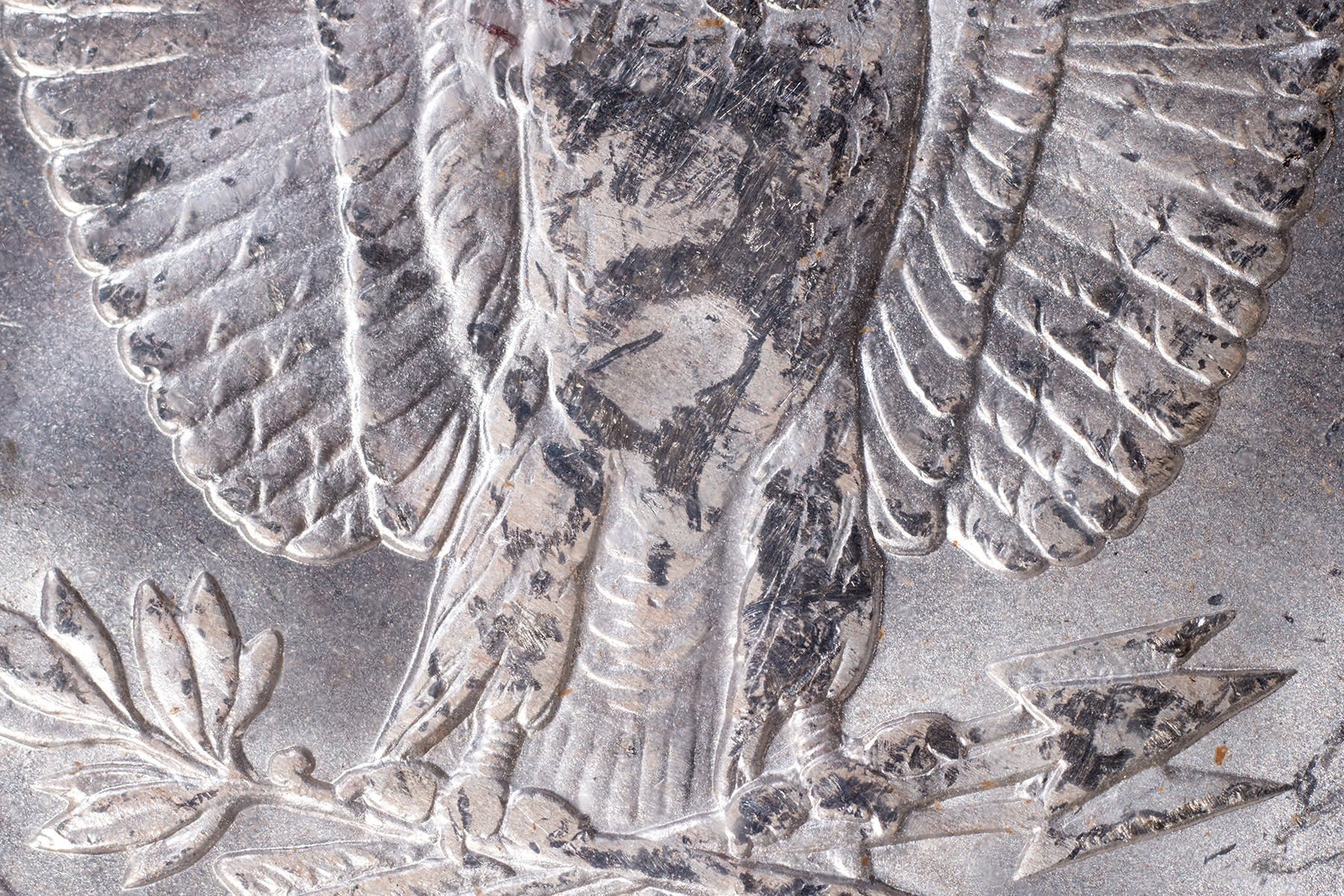 Breast-Detail.jpg
