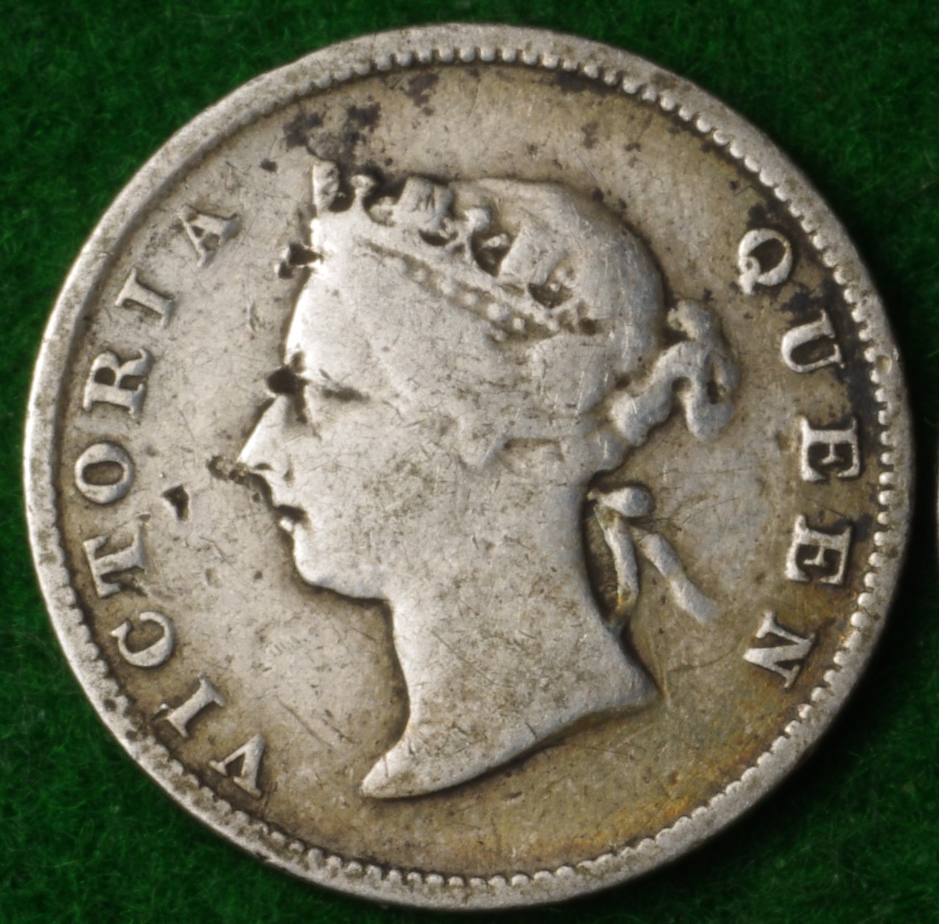 Brit Guiana 4D 2.JPG