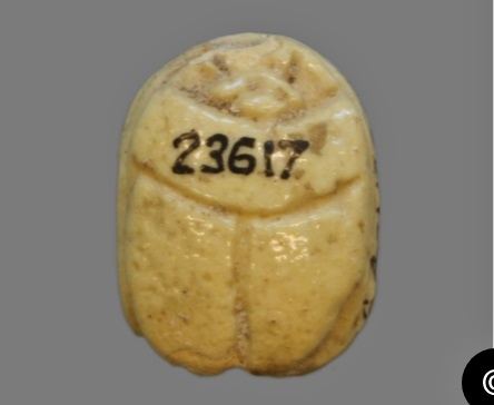 British Museum comparable scarab 2.jpg