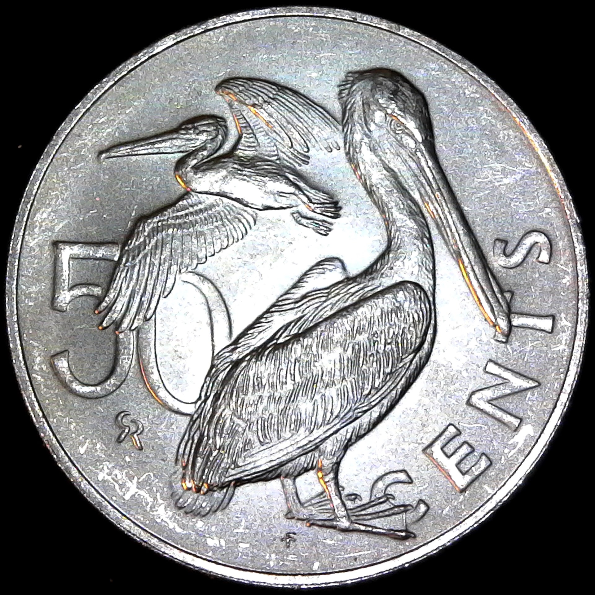 british Virgin Islands 50 cents 1976 obv.jpg