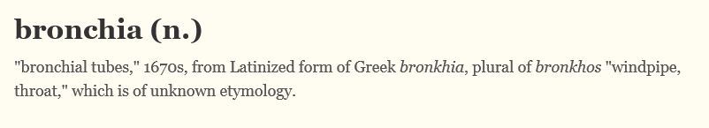 bro.JPG