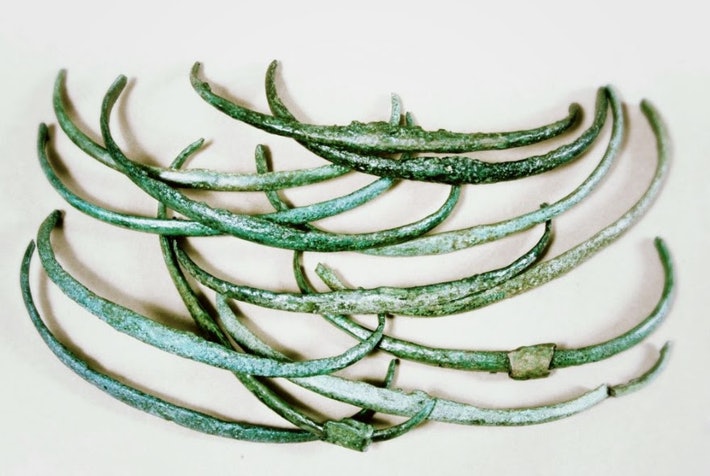 Bronze age ribs.jpg