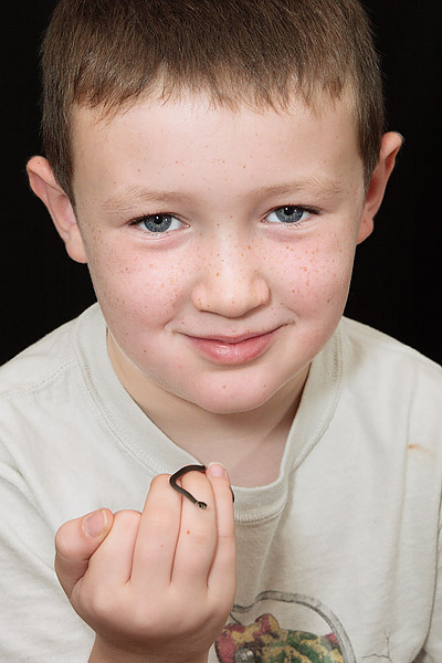brownsnake.jpg