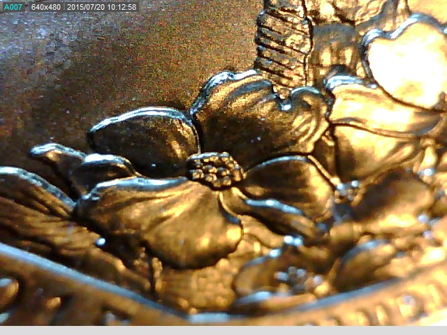 brp_atb_flower_leaf_perspective1.jpg