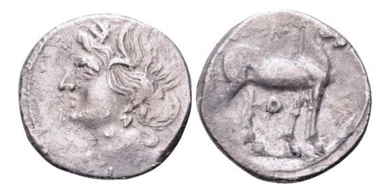 Bruttium Carthage occup AR Half-Shek 216-211 Tanit Horse punic-O HN Italy 2016 SNG Cop 361-3 O-R.JPG