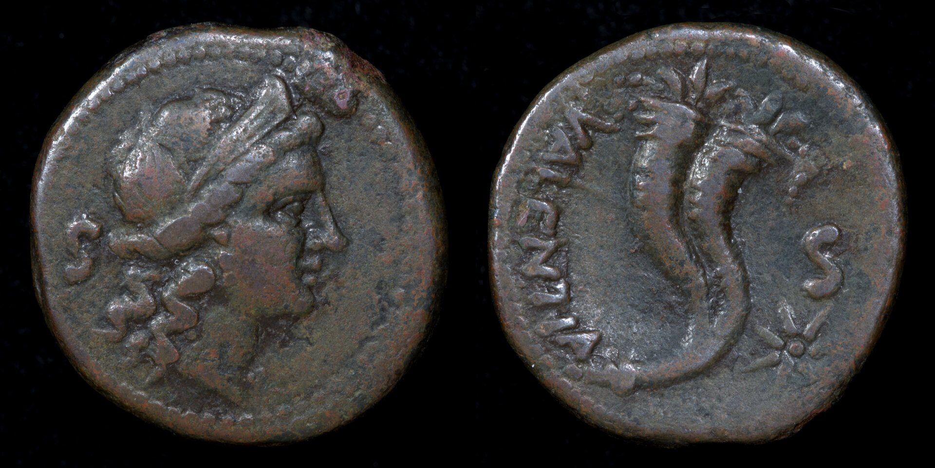 Bruttium Vibo Valentia 2.jpg